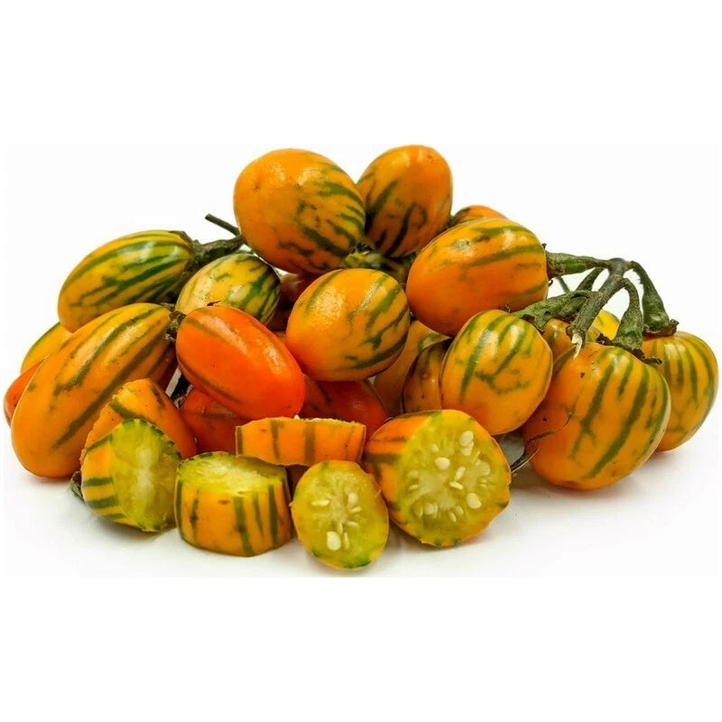 10 Graines AUBERGINE STRIPED TOGA 🧡 Zébrée Orange-Crème, Douceur & Variété Ancienne