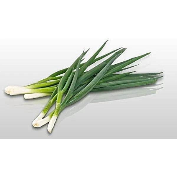 Ciboule Blanche Hâtive 100 Graines | Oignon Vert Saveur Douce Bulbe