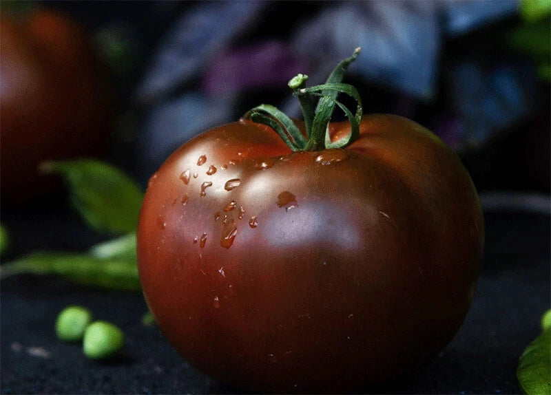 15 Graines Tomate PRINCE NOIR Black Prince Ancienne Noire Goût Sucré