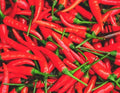10 Graines PIMENT OISEAU Capsicum Frutescens Force 9/10 Très Piquant Petit Fruit