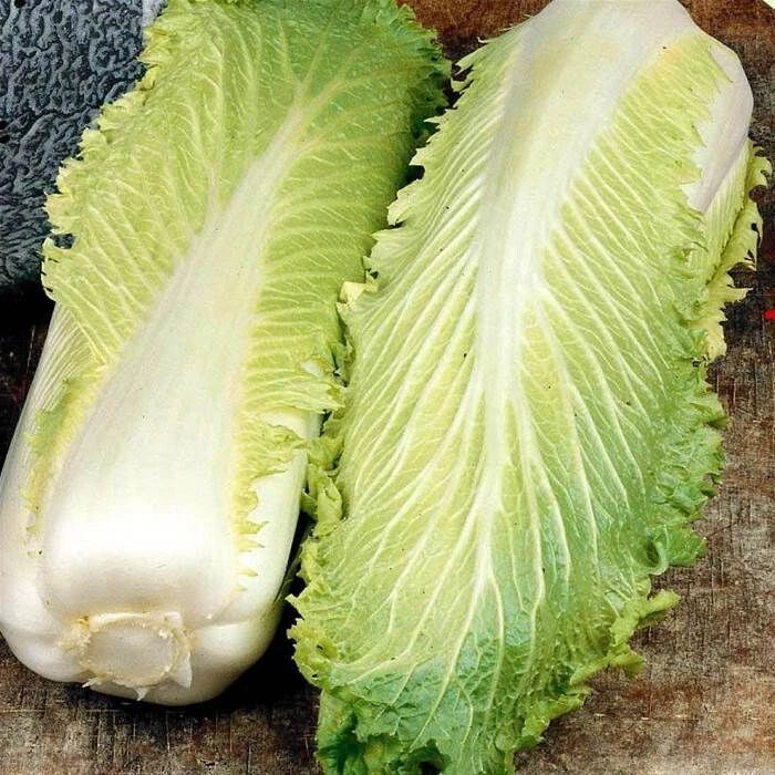 200 Graines CHOU DE CHINE GRANAAT Laitue Chinoise Pomme Ferme Récolte Rapide