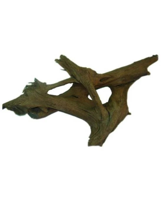 Racine de Malaisie Aquavie 12-20cm Bois Naturel Aquarium Eau Douce et Terrarium