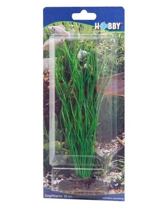 Plante Artificielle Sagittaria 20 cm - Décoration Aquarium & Terrarium - Hobby