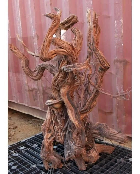 Racine Naturelle Curlivigne Extra V3 Aquavie - Décoration Aquarium / Terrarium