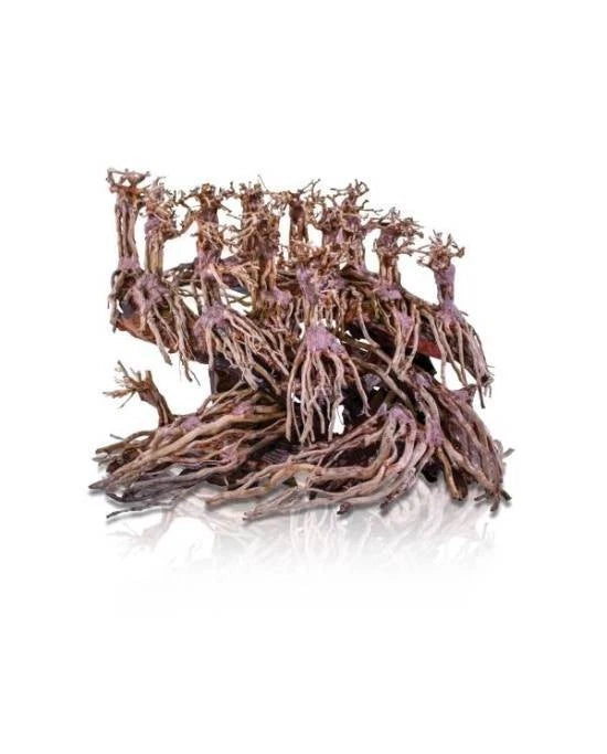 Racine Bonsaï Jungle Old Aquavie Taille M - Décor Naturel Aquascaping Aquarium