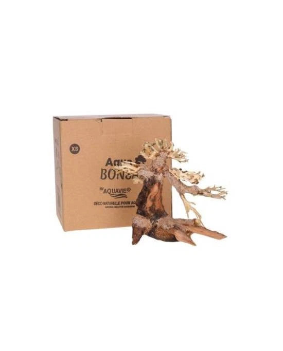 AQUAVIE BONSAÏ NATURE XS - DÉCORATION AQUASCAPING AQUARIUM