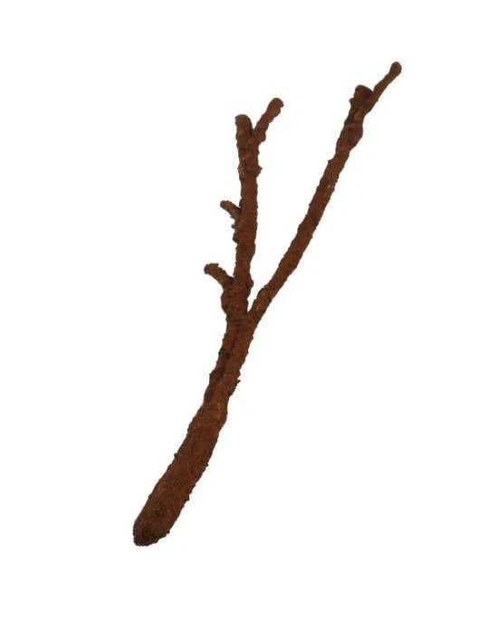 Branche Liane Artificielle Terrarium Decor Reptile Komodo Tropical Vine S