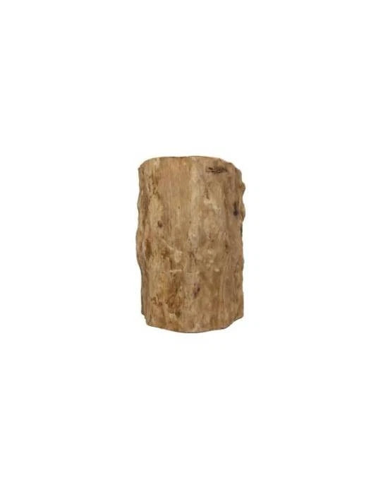 Décor Terrarium Treehouse Giant Grotte Cachette Tronc Reptiles Planet 25cm