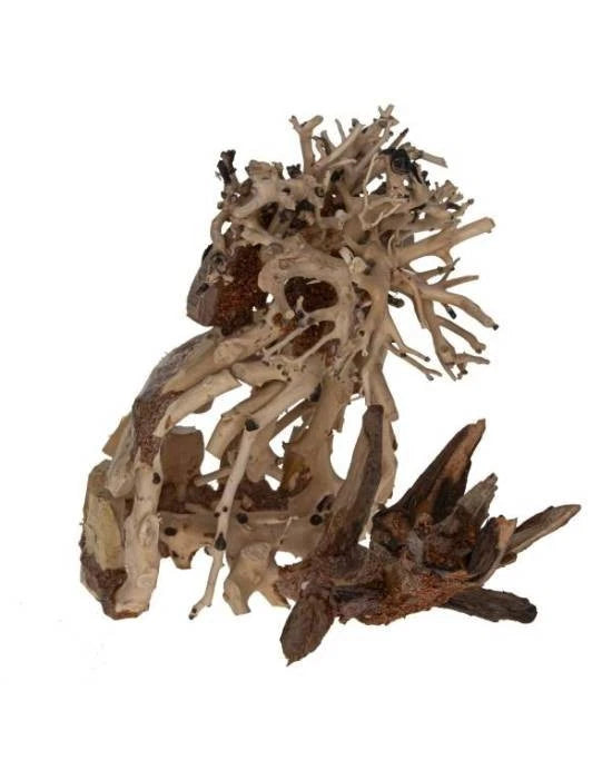 Décoration Aquavie Crazy Bos PM Bois Naturel Aquarium Terrarium Design Fun
