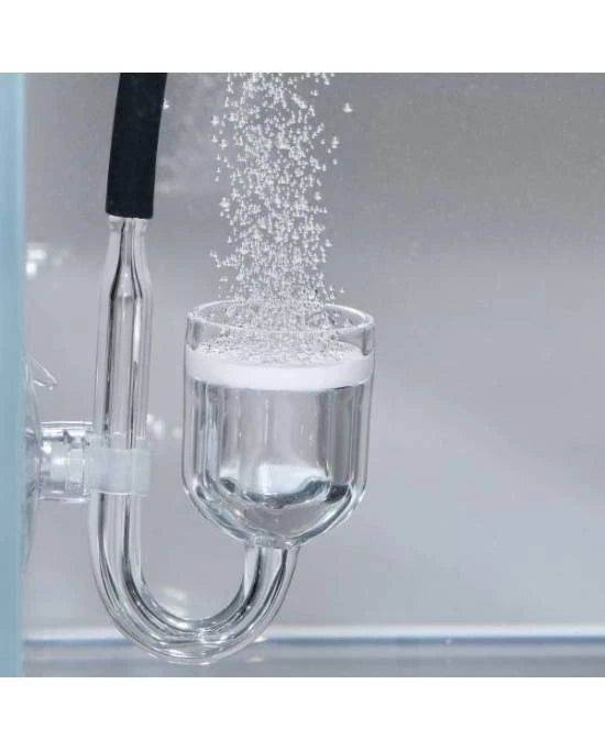 JBL Proflora CO2 Taifun Glass Midi - Diffuseur CO2 en Verre & Céramique