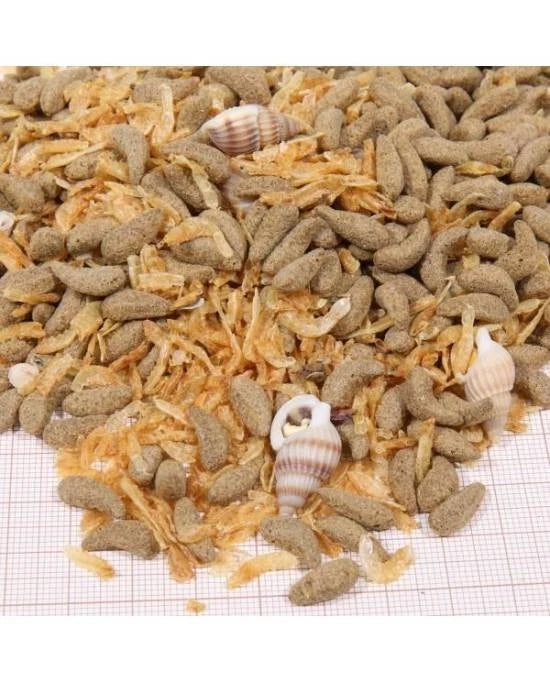 JBL Proterra Molluscus 1000ml (1L) - Mélange Premium de Mollusques pour Tortues