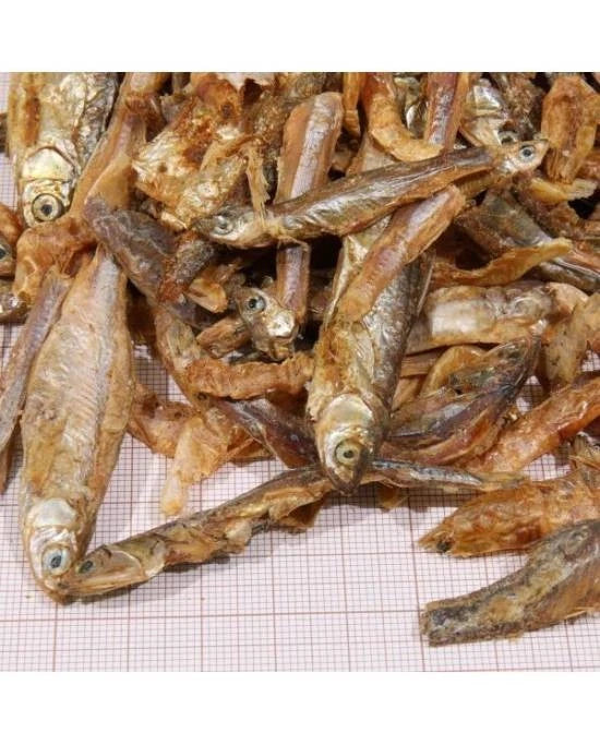 JBL Proterra Pescarus 1000ml (1L) - Petits Poissons Séchés pour Tortues
