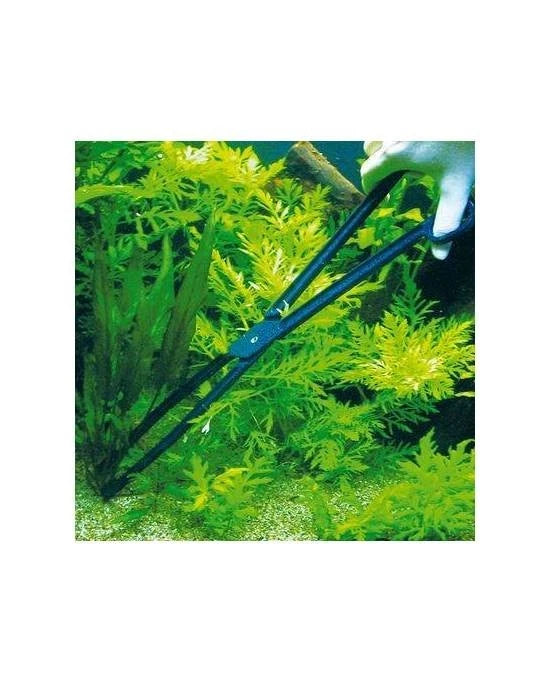 Pince JBL CombiFix 46 cm - Outil de Plantation et Entretien Aquarium