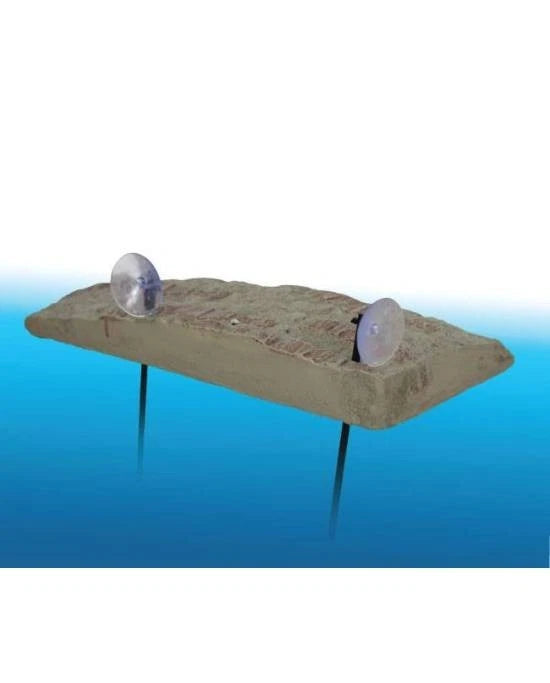Plage Flottante Tortue Aquatique Aimant Reptiles Planet Turtle Island M Decor