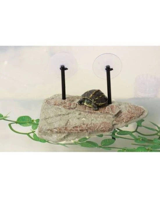 Plage Flottante Tortue Aquatique Aimant Reptiles Planet Turtle Island S Decor