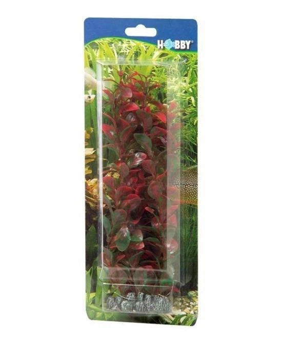Plante Artificielle Ludwigia 25 cm - Décoration Aquarium & Terrarium - Hobby