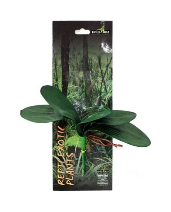 Plante Artificielle Orchidee Terrarium Reptiles Planet Repti Exotic Plant L
