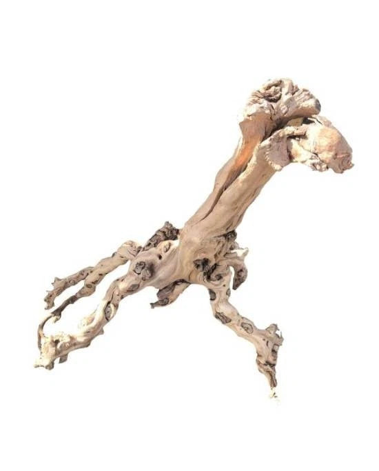 Racine Mopavigne Aquavie 20-35cm Bois Naturel Hybride Aquarium et Terrarium