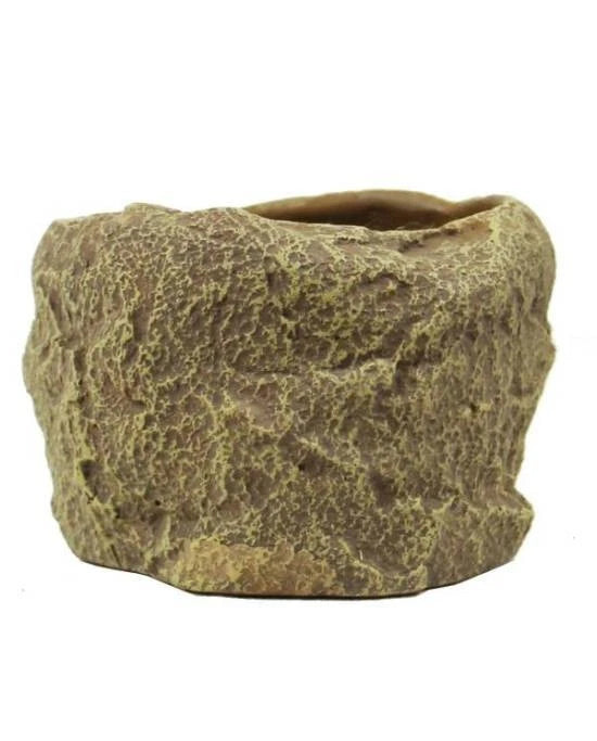 Reptiles Planet Repti Dish Deep M - Gamelle Profonde 12x11,5x8cm - Bassin Profond