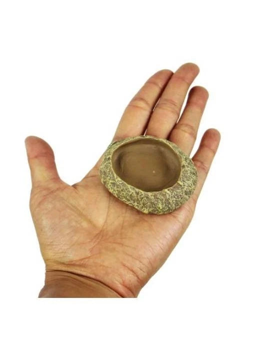 Reptiles Planet Repti Dish XS - Mini Gamelle Roche 6x4x1cm - Reptiles Juvéniles
