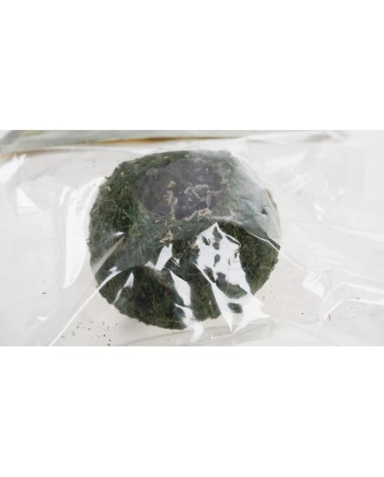 Reptiles Planet Repti Moss Ball - Mousse de Sphaigne Naturelle pour Terrarium