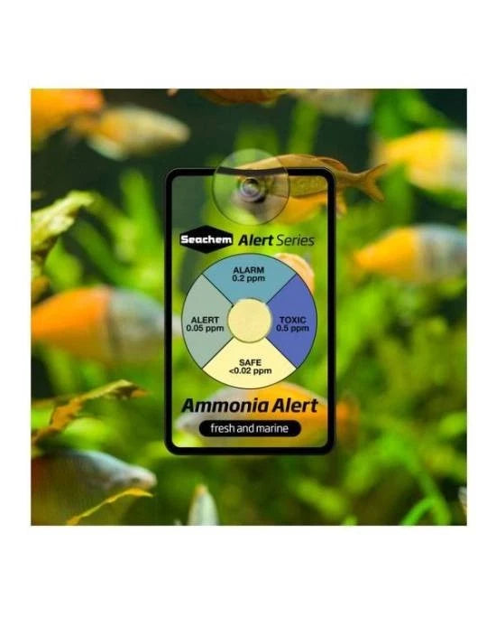 Seachem Ammonia Alert - Détecteur d'Ammoniaque Continu Aquarium Eau Douce & Mer