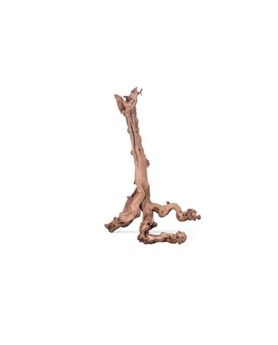 aquavie racine mopavigne naturelle 50-80 cm decor aquarium terrarium