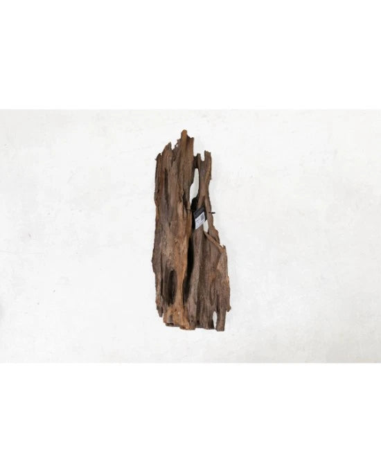 aquavie racine mangrove naturelle 40-60 cm decor aquarium terrarium