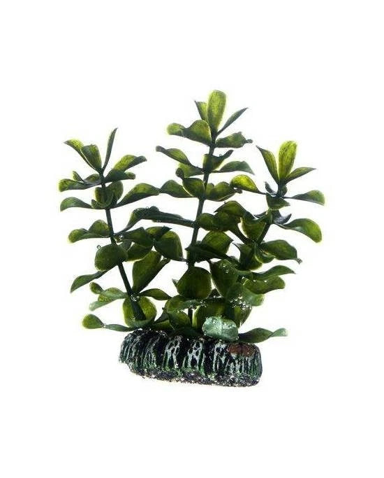 Hobby Bacopa 7cm - Plante Artificielle pour Nano Aquarium & Crevettarium