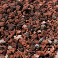 Pouzzolane 250g Roche Volcanique Filtration Aquarium et Drainage Sans Traitement