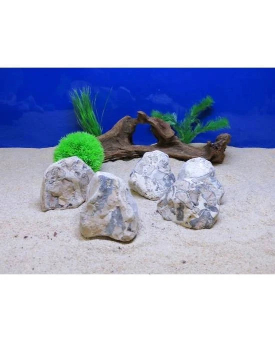 Pierre Léopard S Aquavie Décor Naturel Aquarium Aquascaping Roche Crevettes l'unité