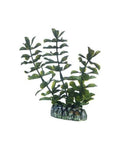 Hobby Bacopa 13 cm - Plante Artificielle Réaliste pour Aquarium