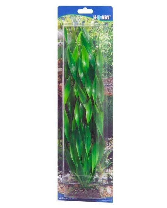 Plante Artificielle Vallisneria 20 cm - Décoration Aquarium & Terrarium - Hobby