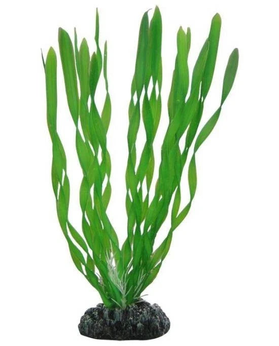 Plante Artificielle Vallisneria 20 cm - Décoration Aquarium & Terrarium - Hobby