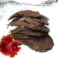 Feuilles de Catappa par 10