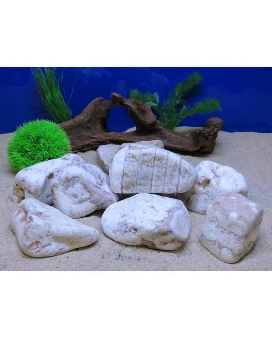 Aquavie Pierre Image S - Décor Naturel Aquarium Terrarium Aquascaping - 9x10x5cm
