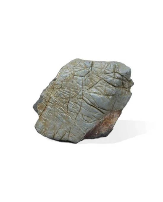 Aquavie Pierre Prehist S - Décor Naturel Aquarium Terrarium - env. 10x10x10 cm