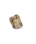 Aquavie Bois Fossilisé S1 - Décor Aquarium Terrarium Aquascaping - 12x10x4 cm