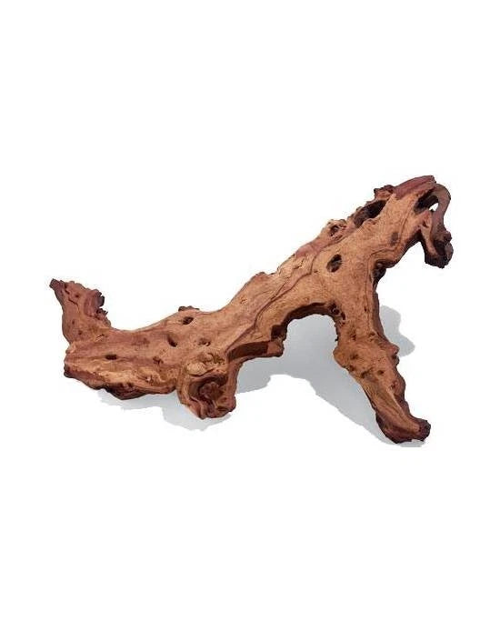 Racine Mopani Aquavie 20-40cm Bois Naturel Aquarium Eau Douce Terrarium Décor
