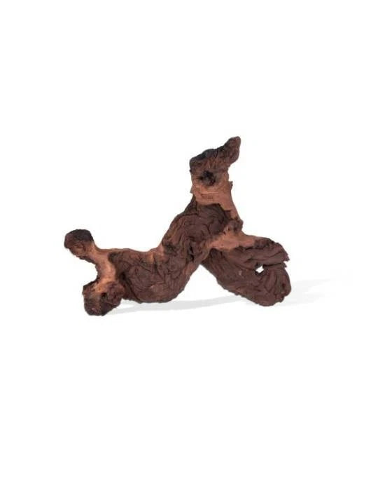 Racine Mopani Aquavie 20-40cm Bois Naturel Aquarium Eau Douce Terrarium Décor
