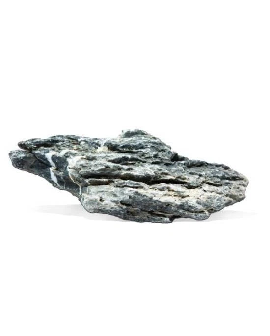Pierre Zébrée Mountain Aquavie Taille S - Roche Naturelle 10x10x6cm Aquarium & A