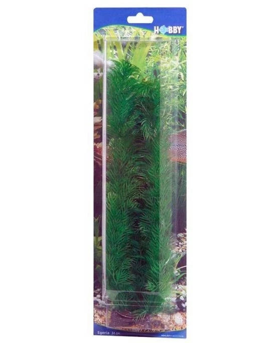 Plante Artificielle Egeria 20 cm - Décoration Naturelle Aquarium - Hobby
