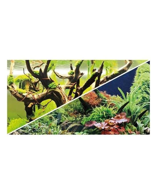 Poster Aquarium Hobby 2 Faces Green Secret Wood Island 120x50 cm Décor XXL