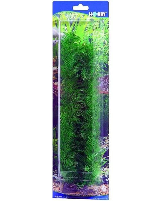 Plante Artificielle Egeria 34 cm - Décoration Arrière-plan Aquarium - Hobby