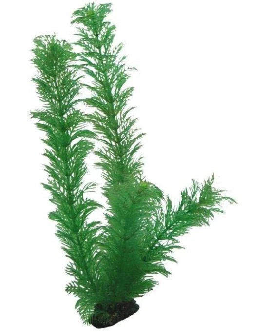 Plante Artificielle Egeria 34 cm - Décoration Arrière-plan Aquarium - Hobby