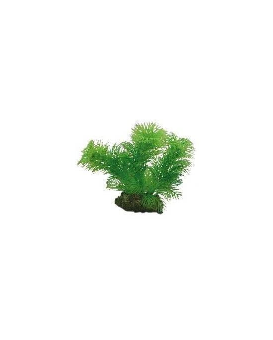 Plante Artificielle Egeria 13 cm - Décoration Aquarium & Nano Bac - Hobby