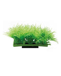 Hobby Plant Pad 2 - 7x4,5x4 cm - Plante Artificielle pour Aquarium & Nano