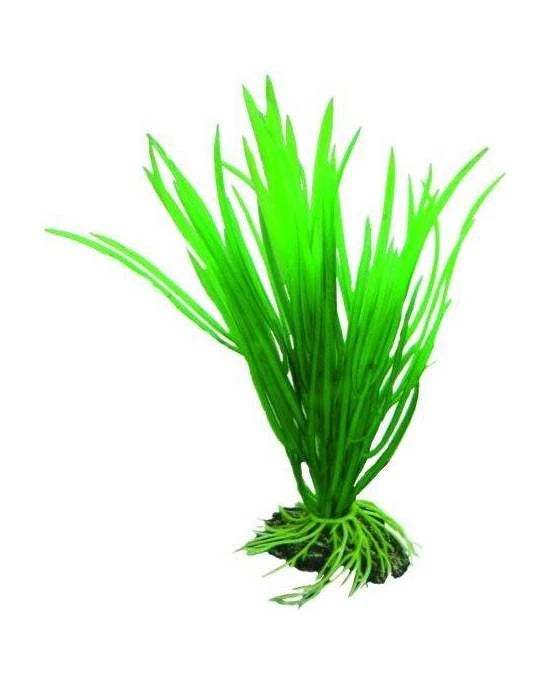 Plante Artificielle Cyperus 16cm - Décoration Aquarium & Terrarium - Hobby